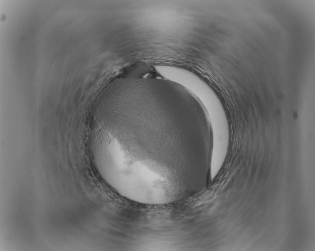 X0000088471153200706121522