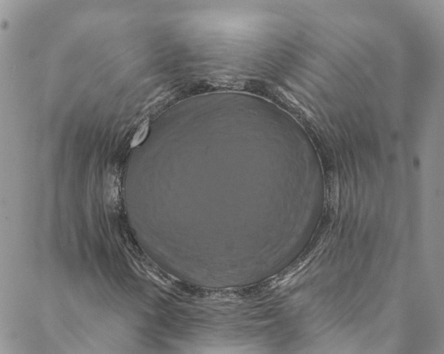 X0000088471154200706121522