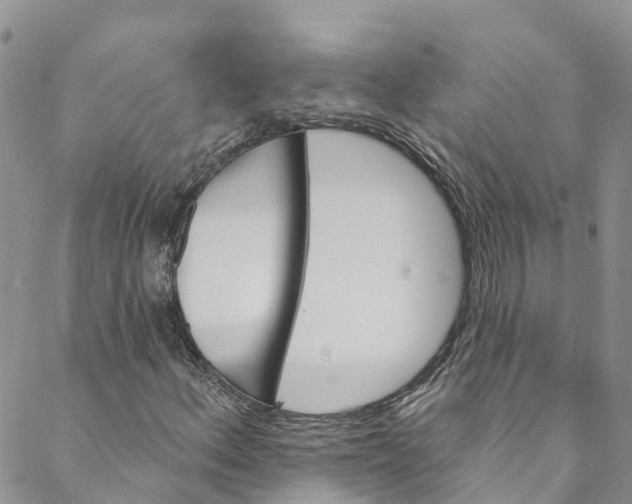 X0000088471156200706121522