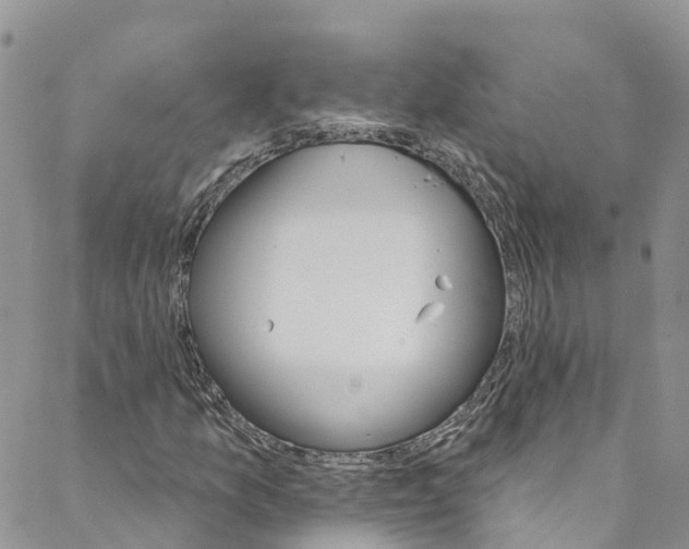 X0000088471157200706121522