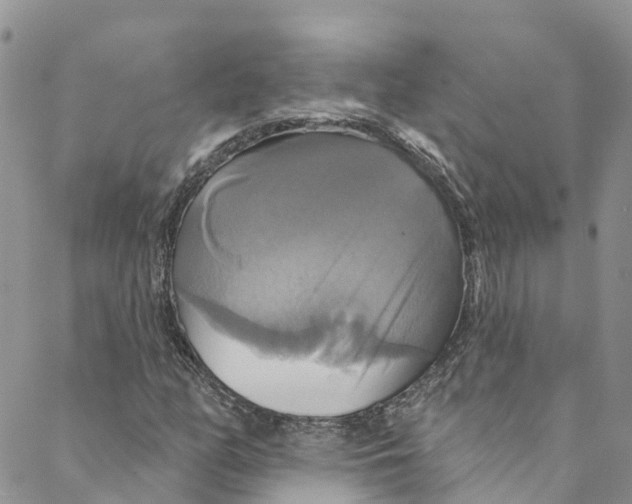 X0000088471158200706121522