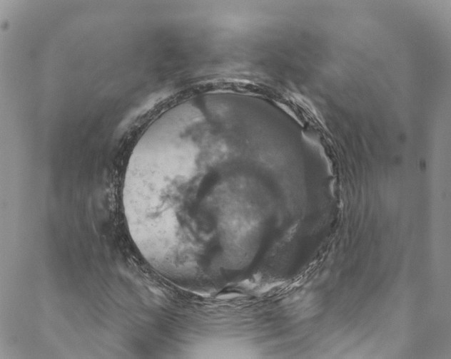 X0000088471159200706121522