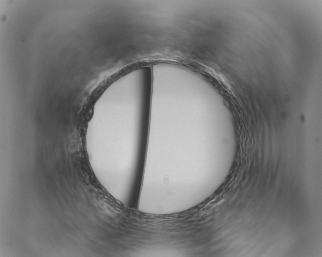 X0000088471160200706121522