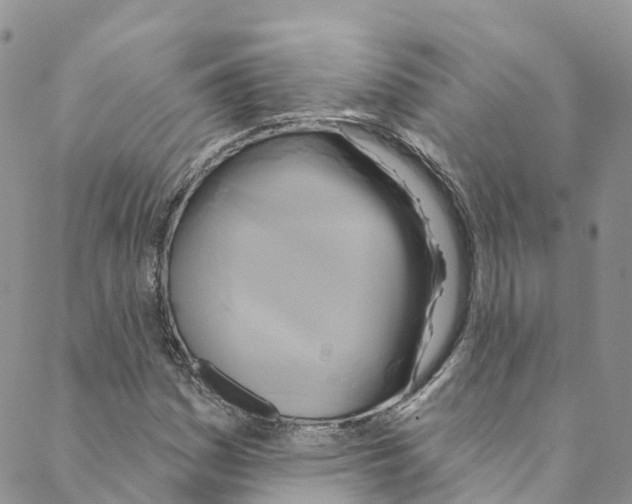 X0000088471161200706121522