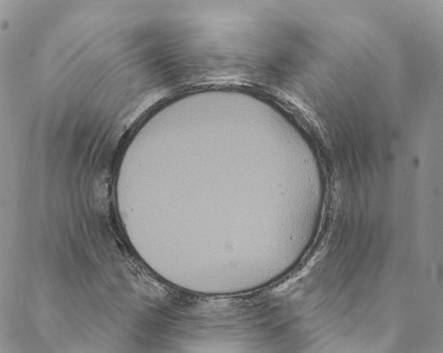 X0000088471162200706121522