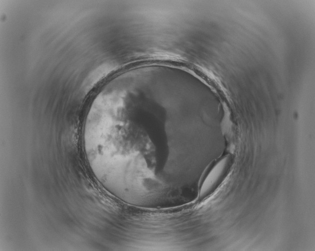 X0000088471163200706121522