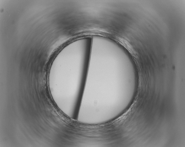 X0000088471164200706121522