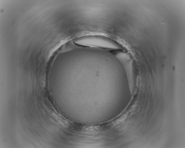 X0000088471165200706121522