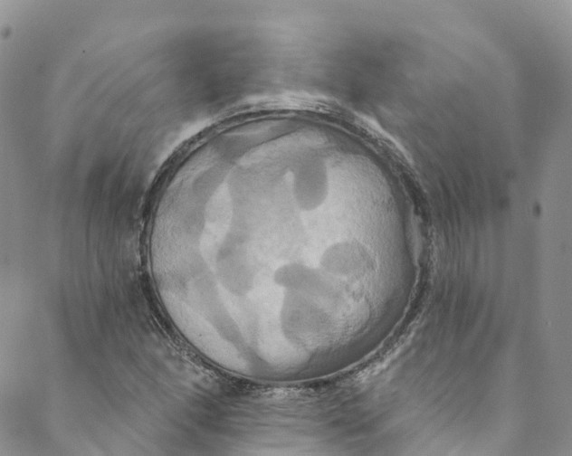 X0000088471166200706121522