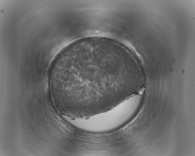 X0000088471167200706121522