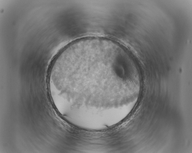 X0000088471168200706121522