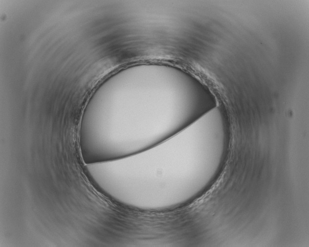 X0000088471169200706121522