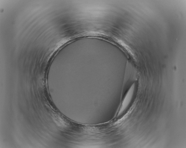 X0000088471170200706121522