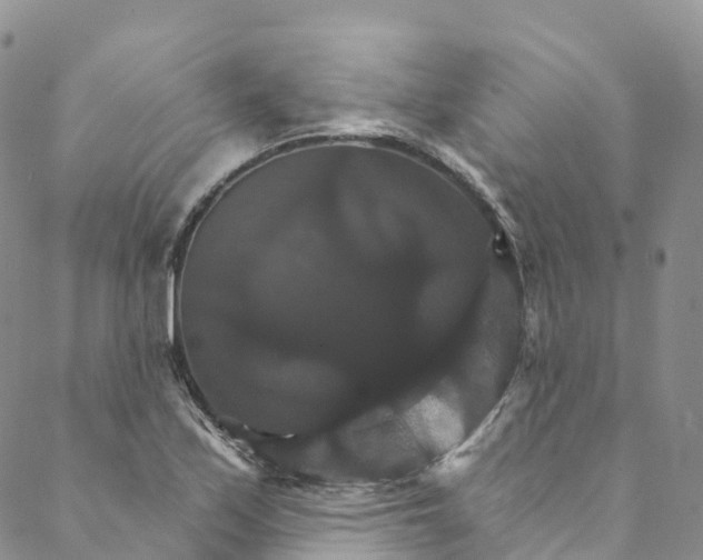 X0000088471171200706121522