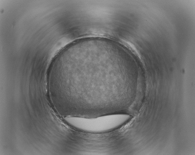 X0000088471172200706121522