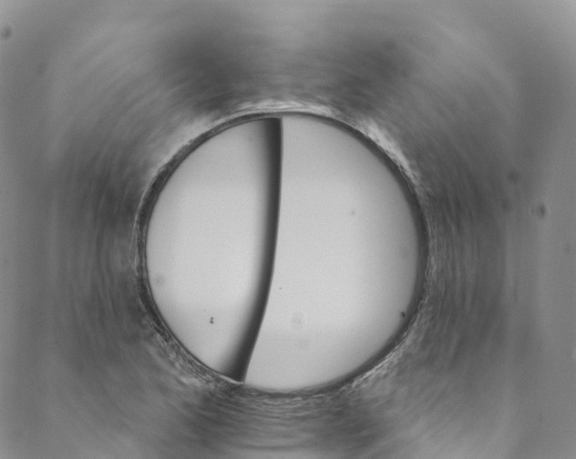 X0000088471173200706121522