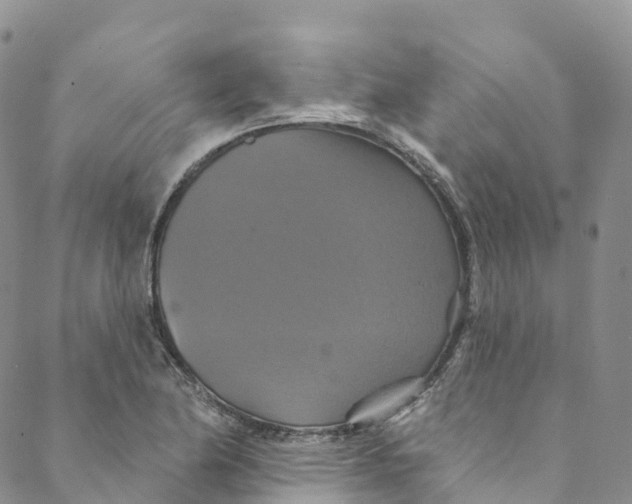 X0000088471174200706121522