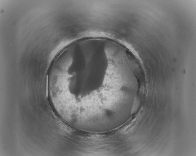 X0000088471175200706121522