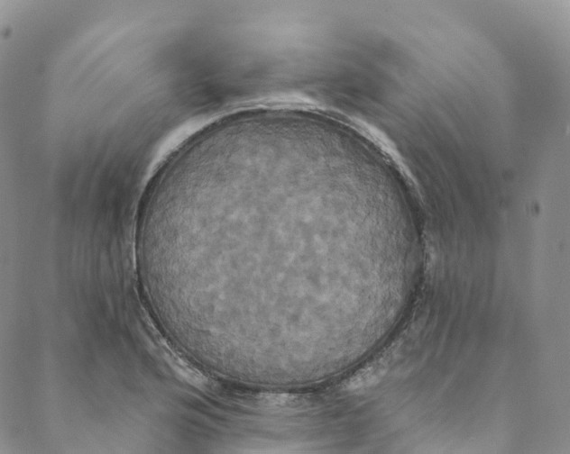 X0000088471176200706121522