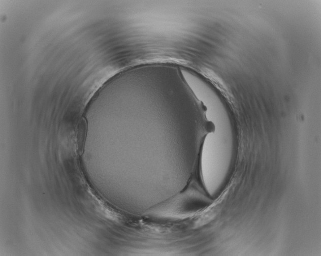 X0000088471177200706121522