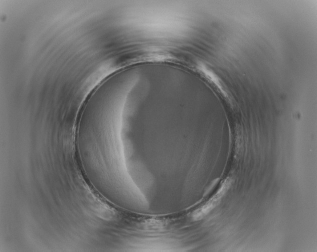 X0000088471178200706121522