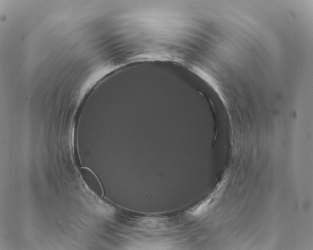 X0000088471179200706121522