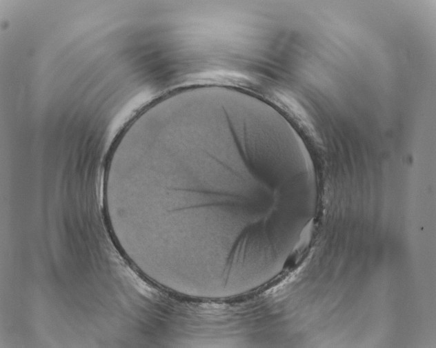 X0000088471180200706121522