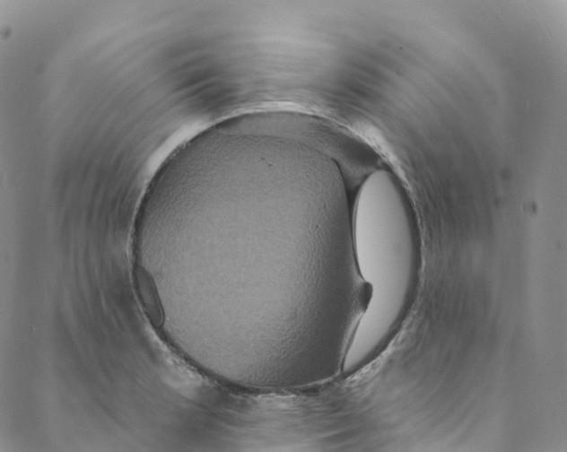 X0000088471181200706121522