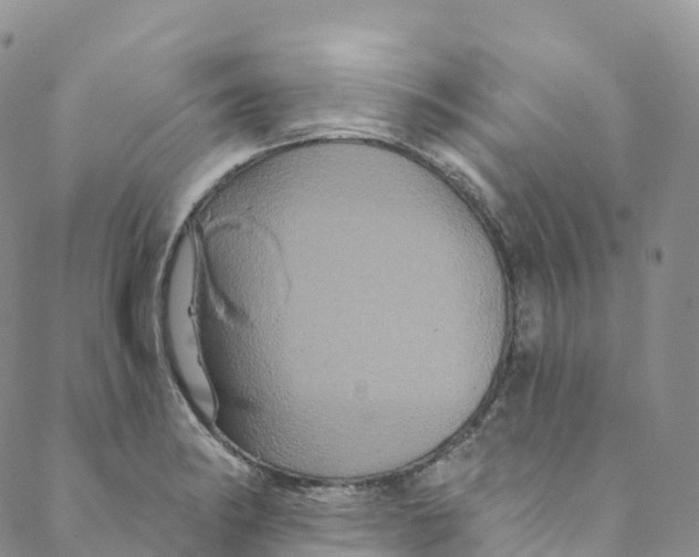 X0000088471182200706121522