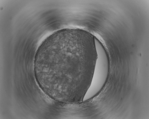 X0000088471183200706121522