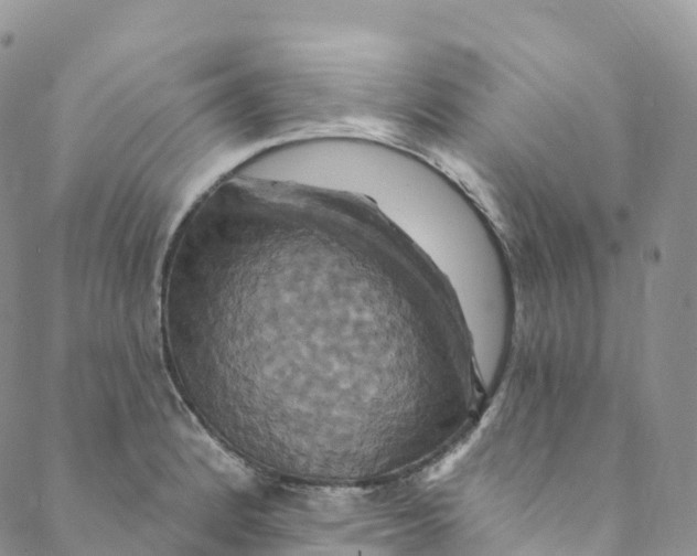 X0000088471184200706121522