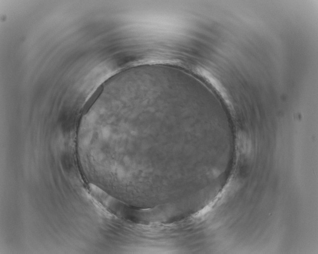 X0000088471185200706121522