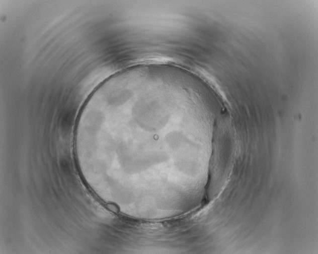 X0000088471186200706121522