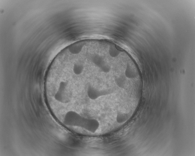 X0000088471187200706121522