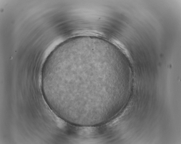 X0000088471188200706121521