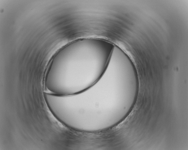 X0000088471189200706121521