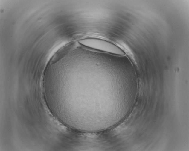 X0000088471190200706121521