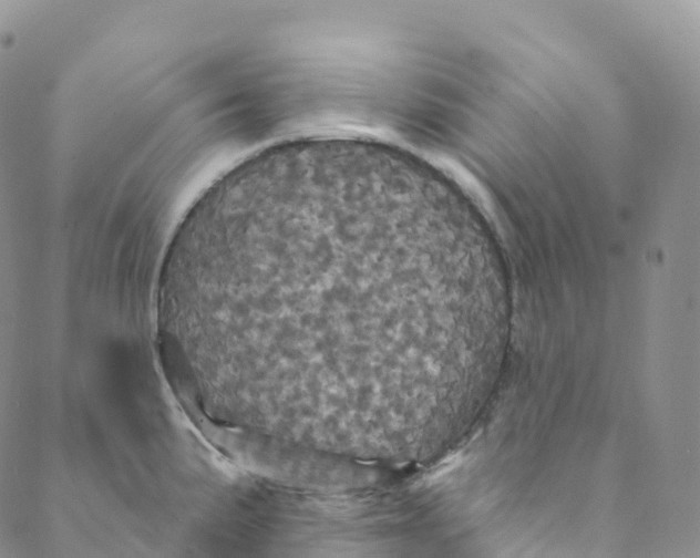 X0000088471191200706121521