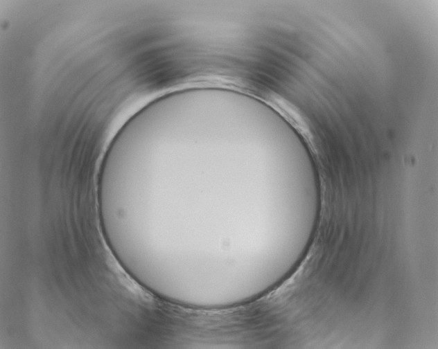 X0000088471192200706121521