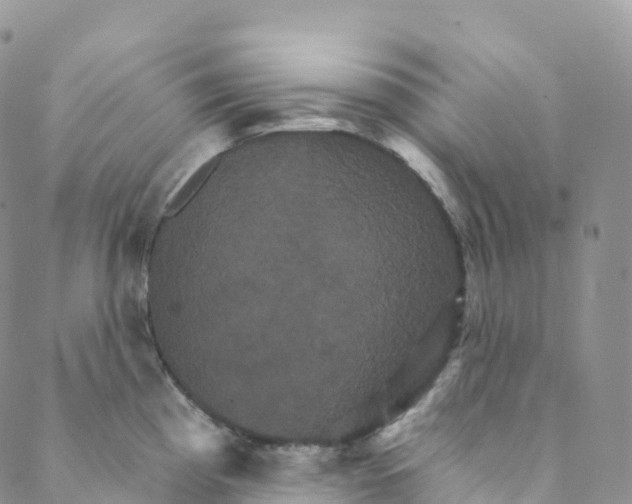 X0000088471193200706121521