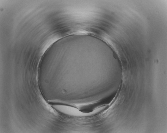 X0000088471194200706121521