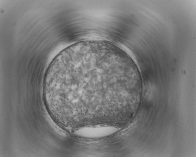 X0000088471195200706121521