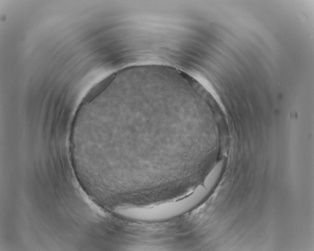 X0000088471197200706121521