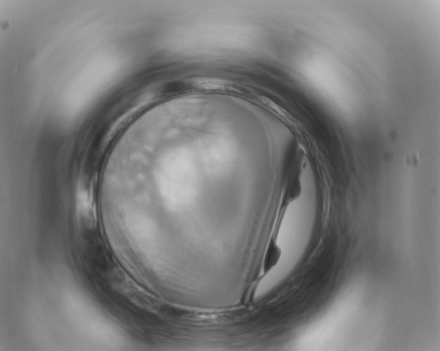 X0000088471198200706121521