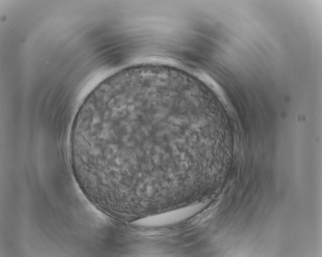 X0000088471199200706121521