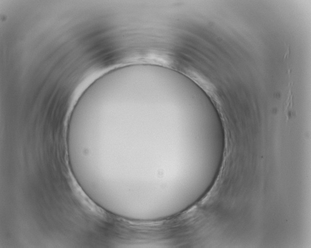 X0000088471200200706121521