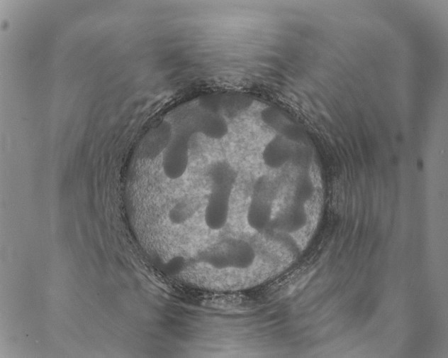 X0000088471201200706121521