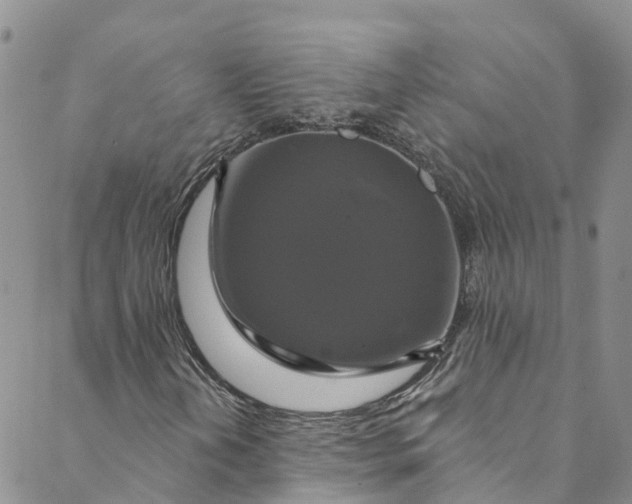 X0000088471202200706121521