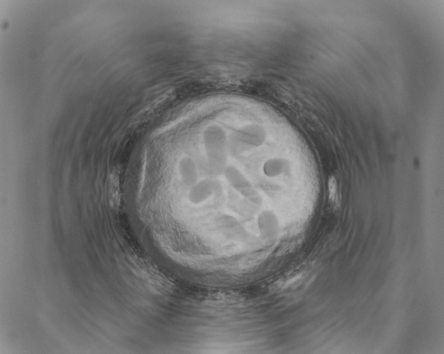 X0000088471203200706121521