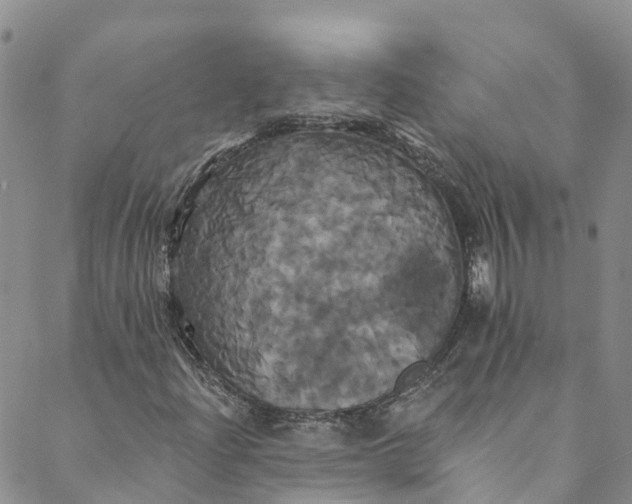 X0000088471204200706121521